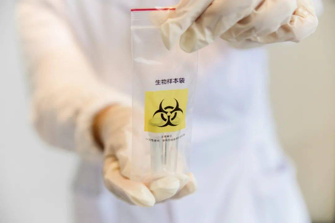 游戏专题 第62页